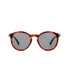 Tom Ford ELTON Sonnenbrillen 53A havana - Produkt-Miniaturansicht 1/4
