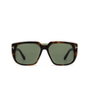 Tom Ford OLIVER-02 Sonnenbrillen 56N havana - Produkt-Miniaturansicht 1/4