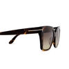 Tom Ford WINONA Sunglasses 52F dark havana - product thumbnail 3/4