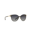 Versace VE2168 Sonnenbrillen 1377T3 black / pale gold - Produkt-Miniaturansicht 2/4