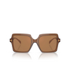 Versace VE4441 Sunglasses 5028/O transparent brown - product thumbnail 1/4