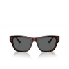 Versace VE4457 Sunglasses 542987 havana - product thumbnail 1/4