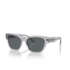 Occhiali da sole Versace VE4457 543287 grey transparent - anteprima prodotto 2/4