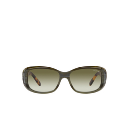 Vogue VO2606S Sunglasses 30728E green horn