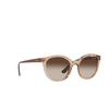 Vogue VO5427S Sunglasses 294013 transparent brown - product thumbnail 2/4