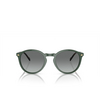 Vogue VO5432S Sonnenbrillen 309211 dusty green - Produkt-Miniaturansicht 1/4