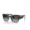 Gafas de sol Vogue VO5462S W656T3 dark havana - Miniatura del producto 2/4