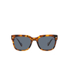 Lunettes de soleil Vogue VO5490S 28194Y tortoise honey - Vignette du produit 1/4