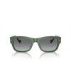 Lunettes de soleil Vogue VO5530S 309211 full dusty green - Vignette du produit 1/4