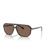 Vogue VO5531S Sunglasses 311073 transparent dark brown - product thumbnail 2/4