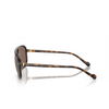 Vogue VO5531S Sunglasses 311073 transparent dark brown - product thumbnail 3/4