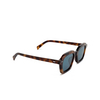 AKILA ERA Sunglasses 96/32 havana - product thumbnail 2/4