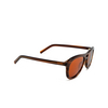 AKILA MIRACLE Sunglasses 13/63 havana - product thumbnail 2/4