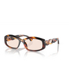 Alain Mikli A03514 Eyeglasses 005 striped havana brown / yellow - product thumbnail 2/3