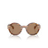 Lunettes de soleil Alain Mikli A05505 001/83 speckled havana - Vignette du produit 1/3