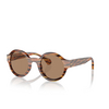 Lunettes de soleil Alain Mikli A05505 001/83 speckled havana - Vignette du produit 2/3