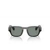 Gafas de sol Alain Mikli A05506 001/81 noir nacree - Miniatura del producto 1/3