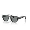 Lunettes de soleil Alain Mikli A05506 001/81 noir nacree - Vignette du produit 2/3