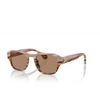 Lunettes de soleil Alain Mikli A05506 002/83 speckled havana - Vignette du produit 2/3