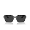 Alain Mikli A05507 Sunglasses 004/48 new pointille grey / noir nacree - product thumbnail 1/3