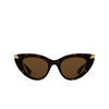 Alexander McQueen AM0442S Sunglasses 003 havana - product thumbnail 1/4