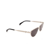 Alexander McQueen AM0456S Sunglasses 001 silver - product thumbnail 2/4