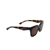 Alexander McQueen AM0473S Sonnenbrillen 002 havana - Produkt-Miniaturansicht 2/4