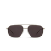 Lunettes de soleil Alexander McQueen AM0477S 001 silver - Vignette du produit 1/4