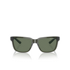 Gafas de sol Armani Exchange AX4026S 83419A shiny transparent green - Miniatura del producto 1/3