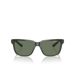 Gafas de sol Armani Exchange AX4026S 83419A shiny transparent green