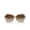 Lunettes de soleil Armani Exchange AX4029S 824013 transparent tundra - Vignette du produit 1/3