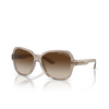 Lunettes de soleil Armani Exchange AX4029S 824013 transparent tundra - Vignette du produit 2/3