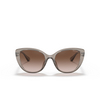 Lunettes de soleil Armani Exchange AX4111SU 824013 transparent tundra - Vignette du produit 1/3