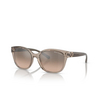 Occhiali da sole Armani Exchange AX4127S 82408Z brown - anteprima prodotto 2/3