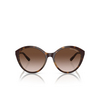 Lunettes de soleil Armani Exchange AX4134S 821313 shiny havana - Vignette du produit 1/3