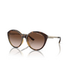 Armani Exchange AX4134S Sonnenbrillen 821313 shiny havana - Produkt-Miniaturansicht 2/3