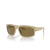 Armani Exchange AX4142SU Sunglasses 834873 matte beige - product thumbnail 2/3