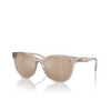 Armani Exchange AX4144SU Sonnenbrillen 83447P shiny transparent brown - Produkt-Miniaturansicht 2/3