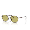 Brunello Cucinelli BC2003ST Sunglasses 50034C brown - product thumbnail 2/3