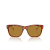 Brunello Cucinelli BC4003S Sunglasses 101253 havana - product thumbnail 1/3