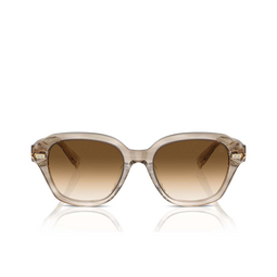 Brunello Cucinelli BC4004S Sunglasses 102751 striped ivory