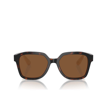 Lunettes de soleil Brunello Cucinelli BC4005S 1015N9 havana - Vue de face