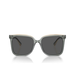 Gafas de sol Brunello Cucinelli BC4007S 100487 grey / panama