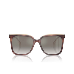 Brunello Cucinelli BC4007S Sonnenbrillen 10166I havana ortensia / panama