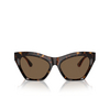 Burberry BE4420U Sunglasses 300273 dark havana - product thumbnail 1/4