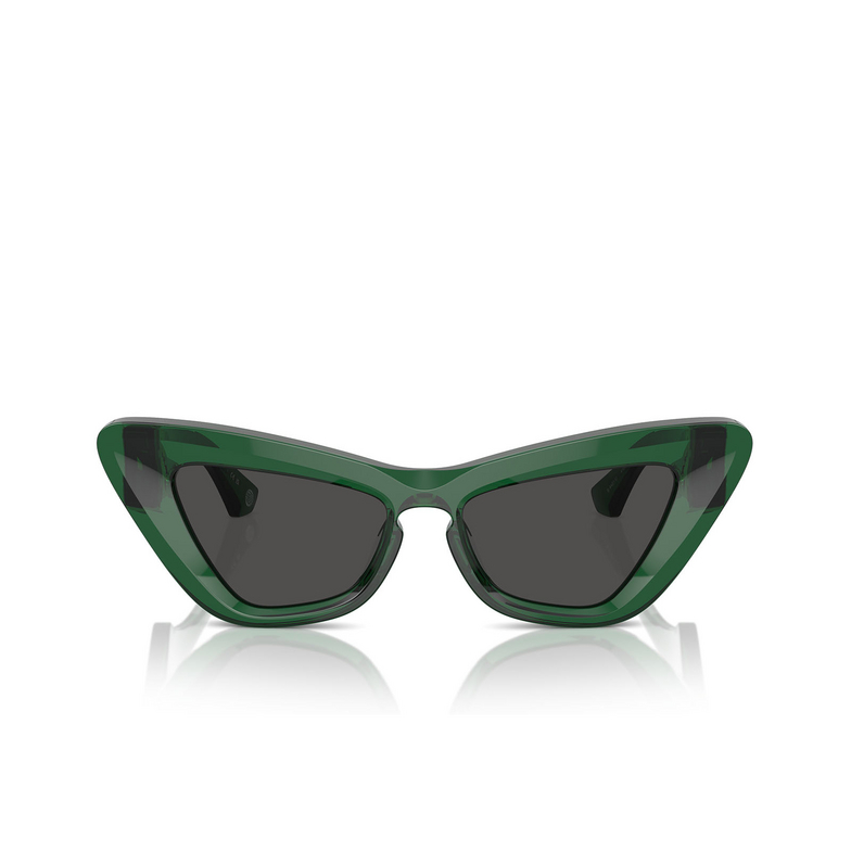 Lunettes de soleil Burberry BE4421U 410487 green - 1/4