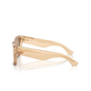 Gafas de sol Burberry BE4424 40635A brown - Miniatura del producto 3/4