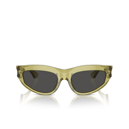 Lunettes de soleil Burberry BE4425U 411887 green