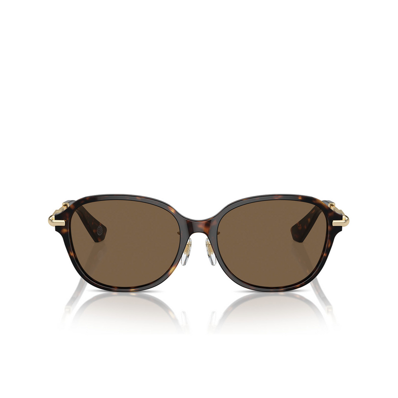 Burberry BE4429D Sonnenbrillen 300273 dark havana - 1/4