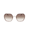 Calvin Klein CK21131S Sunglasses 200 brown - product thumbnail 1/4